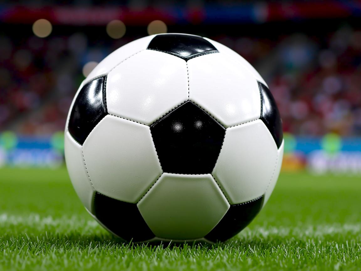 爱游戏体育娱乐-中国女篮坚持科学训练 方法不断创新，中国女篮如何  第3张