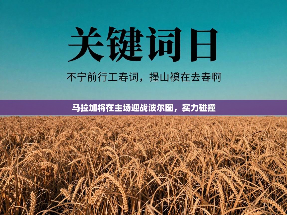 马拉加将在主场迎战波尔图，实力碰撞  第2张